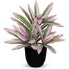 Oairse Pianta artificiale grande in vaso, 32 cm, pianta artificiale di dracaena, piante finte in vaso, pianta artificiale tropicale da interni, per casa, bagno, cucina, decorazione, rosa