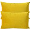 ZZDZW Lusso Cuscino Copre Caso Federa Cuscino 50x70 40x70 60x80 cm Copricuscino Per Divano con Cerniera Federe in Velluto per divano letto arredamento set di due Copricuscini(#2,60x80 cm set of 2)