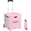 MAGIC SELECT Carrello della Spesa Pieghevole con Ruote Cassa di Trasporto da 34 L | Compatto, Per Supermercato, Camping, Picnic e Casa