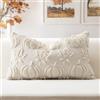 Artscope 1 Pezzi Halloween Federe in Lana Corta Velluto Copricuscini Morbido Decorativo autunnale Fodere per Cuscino Lusso Stile per Divano Camera da Letto Zucca Foglie di Acero Beige 40x60 cm