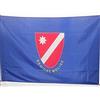 AZ FLAG Bandiera Molise 150x90 cm Stendardo Molisana Poliestere 100D Asola | Uso interno ed esterno bandiera decorativa doppie cuciture e bordi rinforzati con guaina per asta