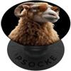 Pecore per gli amanti dell'Ariete e del Montone Muflone Ariete Pecora Domestica Pecora Selvatica PopSockets PopGrip Adesivo