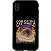 Ragdoll Owner Lover Humor Custodia per iPhone XS Max Dog Of The Cat World Ill Let It Citazione Divertente