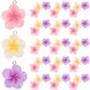 Yardwe 60 Ciondoli Fiore in Resina, Piccoli Frangipani a 5 Petali, Leggeri e Versatili per Collane e Braccialetti, Stile Estivo Bohémien