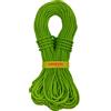 Tendon Master Pro 7.6 mm corda arrampicata