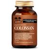 SALUGEA (RELOAD Srl) SALUGEA COLONSAN FORMULA POTENZIATA 60 CAPSULE
