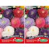 Germisem Giant Princess Mix Semi di Aster Cinesi 1 g (Confezione da 2)