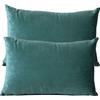 ZZDZW Lusso Cuscino Copre Caso Federa Cuscino 50x70 40x70 60x80 cm Copricuscino Per Divano con Cerniera Federe in Velluto per divano letto arredamento set di due Copricuscini(#24,40x70 cm set of 2)