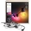 Philips Hue Festavia - Striscia di luci a globo per esterni, 7 m, 10 lampadine, dimmerabile, controllo con app Hue, funziona con Alexa, Google Assistant e Apple Home