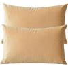 ZZDZW Lusso Cuscino Copre Caso Federa Cuscino 50x70 40x70 60x80 cm Copricuscino Per Divano con Cerniera Federe in Velluto per divano letto arredamento set di due Copricuscini(#21,40x70 cm set of 2)