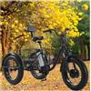 Generic Triciclo elettrico per adulti, 500W, 20 Fat Tire, 3 ruote, batteria rimovibile da 12Ah, cestino anteriore, monopattino elettrico per tutti i terreni, guida fluida, ideale per anziani e adol