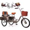 Generic Triciclo elettrico a 3 ruote per adulti, con telaio ribassato da 20 pollici, ideale per anziani, donne e uomini, con cestino anteriore e portapacchi.