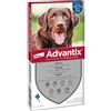 Advantix Spot-on per cani oltre 25 kg fino a 40 kg - 4 pipette (4,0 ml)