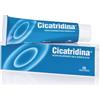 Cicatridina Pomata Rimedio per Irritazioni e Lesioni 60g - CICATRIDINA - 934737394