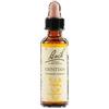 GENTIAN 10ML DI LEO - - 910040258