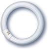 Osram L22W/865 C - Circolare tubo fluorescente l22 / 865-22w