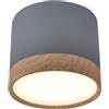 Candellux Tuba lampada da soffitto 1x9 W grigio 2275925