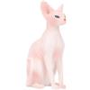 ERINGOGO Ornamento Gatto senza Pelo Simulato, Giocattolo per Gatti Realistico in Miniatura, Decorazione Animale Adorabile per Casa e Ufficio