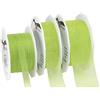 PRÄSENT CE Pattberg Präsent 25 m 10 mm quattro stagioni organza nastro decorativo, erba verde
