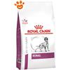 Royal Canin Dog VHN Renal - Sacco Da 14 Kg