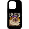 Ragdoll Owner Lover Humor Custodia per iPhone 15 Pro Dog Of The Cat World Ill Let It Citazione Divertente