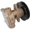 BUDZAVHIC Pompa Acqua di Mare Grezza per generatori K-hler GM46946 344371 S-erwood G910P JMP JPR-SE7110P