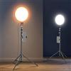 NEEWER BASICS Ring Light Grande da 12 con Treppiede 1,6m/Porta Telefono/Telecomando Compatibile con iPhone, Luce LED a Schermo Intero Bicolore 15W per Rirpese Video Foto Selfie Streaming Trucco, R12L