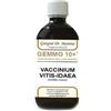 DR.GIORGINI SER-VIS Srl MIRTILLO ROSSO LIQUIDO ANALCOOLICO GEMMO 10+ 500 ML