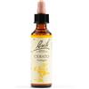 SCHWABE PHARMA ITALIA Srl CERATO BACH ORIG 20ML