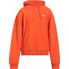 STUSSY - Felpa - Arancione
