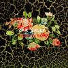 Zak Sally'S Fear of Song Why We (Vinyl LP)