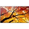 Sharp M552, 55 M-Series LFD, UHD PNM552