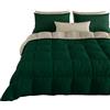 PETTI Artigiani Italiani - Trapunta Singola Invernale, Piumone Singolo, Tinta Unita Double Face Verde Tortora 100% Made in Italy