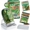 Kit Di Coltivazione per Germogli Bio - Set Da 1, 2 O 3 Barattoli per Germogli -