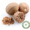 Green Product LK Polvere macinata alla noce moscata | 100% biologica | Jaiphal | Jaifal | Jati...