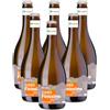 SIDRO DI MELE FINISSIMO BIO - 6 BOTTIGLIE | MELCHIORI
