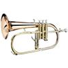 IDA MARIA GRASSI Flicorno soprano in Sib ramato Grassi F500GMKII