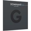 Thomastik-Infeld Violino - Corde - Corde Per Violino Dominant Pro - G4 Silver - Dp04
