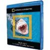Film - Squali - La Verita' Sui Killer Dei Mari (blu-ray+booklet) - Blu-ray