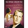 Film - La Dolce Ala Della Giovinezza - Dvd