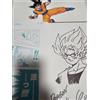 Shueisha Jump-Ryu vol.1 Dragon Ball How to Draw Manga Akira Toriyama DVD Signature