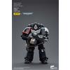 JoyToy WH40K Raven Guard Intercess Bro Colvane - Action Figure 1/18