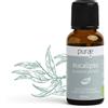 Purae Olio Essenziale di Eucalipto Bio 100% Puro e Naturale Oversize, 30ml
