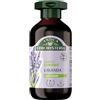 Antica Erboristeria Laboratorio Natura Antica Erboristeria - Shampoo Illuminante alla Lavanda per Capelli Normali, Formula Vegan senza Siliconi, 250ml