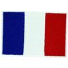 Akacha Lotto Di 5/10/25/ 50/ 100 Patch Toppa Ricamata Bandiera Francia Francesi