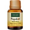 SOLIME' Srl PAPPA REALE FRESCA 10ML