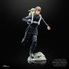 Hasbro Star Wars The Black Series Action Figure Luke & Grogu - Collectible