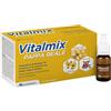 MONTEFARMACO OTC SpA VITALMIX PAPPA REALE 10FLACONCINI X10 ML S/GL