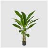 EDG Enzo De Gasperi Pianta Artificiale Strelitzia Chic 155cm Verde