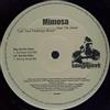 Mimosa Feat. Tiki Jones - Let Your Feelings Show - Vinile